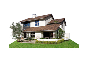 CENTURY VikiCourt