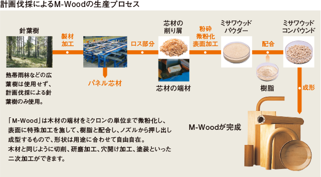 計画伐採によるM-Woodの生産プロセス