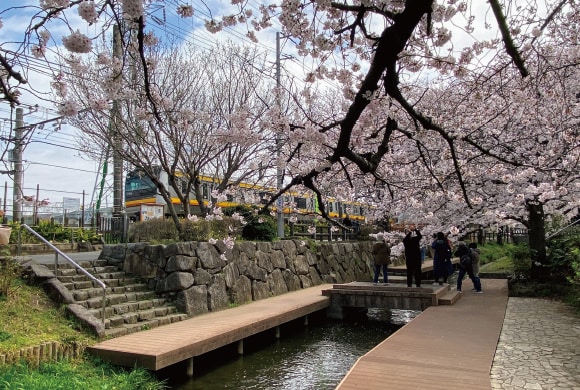 公園遊歩道デッキ