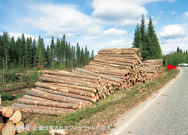 計画植林・計画伐採されたフィンランドの原木。