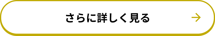 さらに詳しく見る