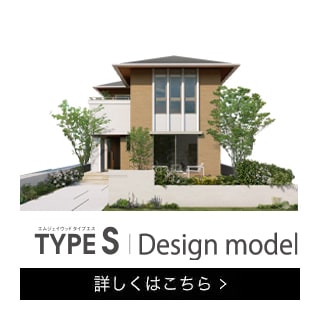 type_S_Design_model