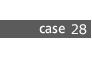 case28