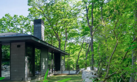 THE HIRAYA modern 2