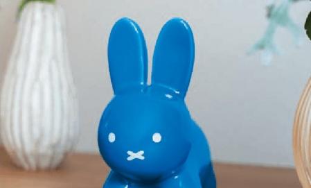 【7/1~7/31まで】来場予約でAmazonギフト最大6,000円分＋ミッフィー陶器プレゼント！ 