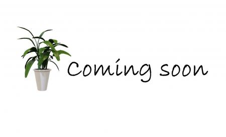 松阪市下村町会場＃395