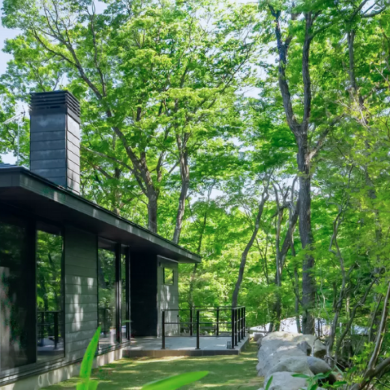 THE HIRAYA modern 2