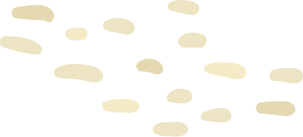 土