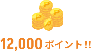 12,000ポイント