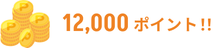 12,000ポイント