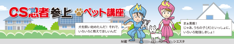 CSEҎQ ybgu