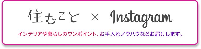 >インスタグラムで最新情報を発信中