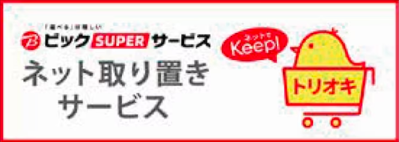 ビックカメラ・コジマ