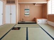 畳表