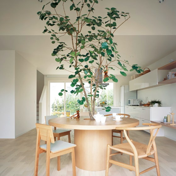 植物を通して自然を身近に感じる