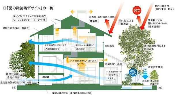 落葉樹で省エネ