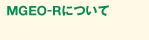 MGEOについて