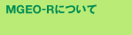 MGEO-Rについて