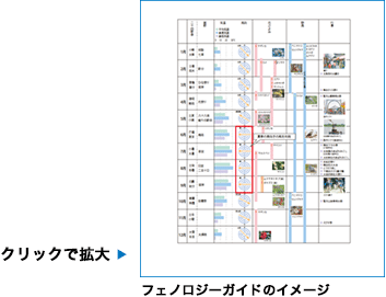 フェノロジーガイドのイメージ