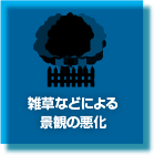 雑草などによる景観の悪化