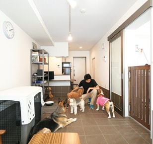 Stella Maris②