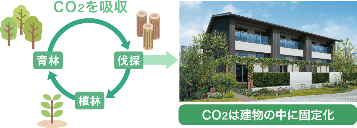 「木」は「持続可能」な素材　図